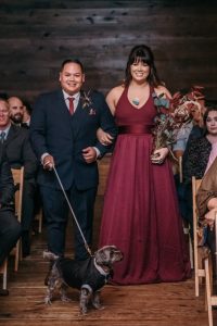 A dog walking down the aisle for a wedding.